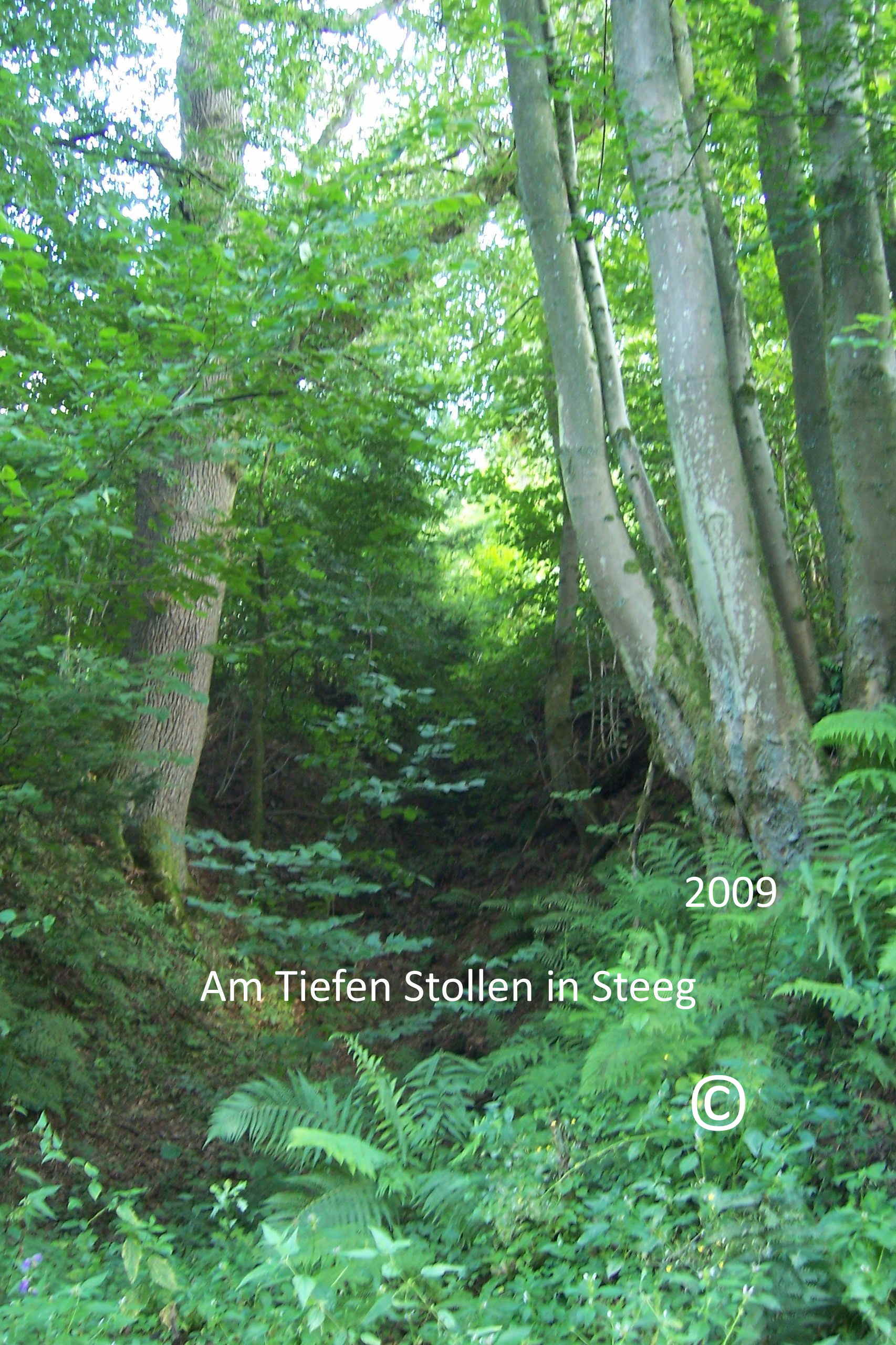 Mit der Grubenbahn von Katzwinkel nach Wissen / Sieg Kunst Garten